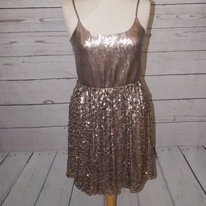 Express Sequin Dress